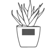 30 x 15 mm - On the Pot