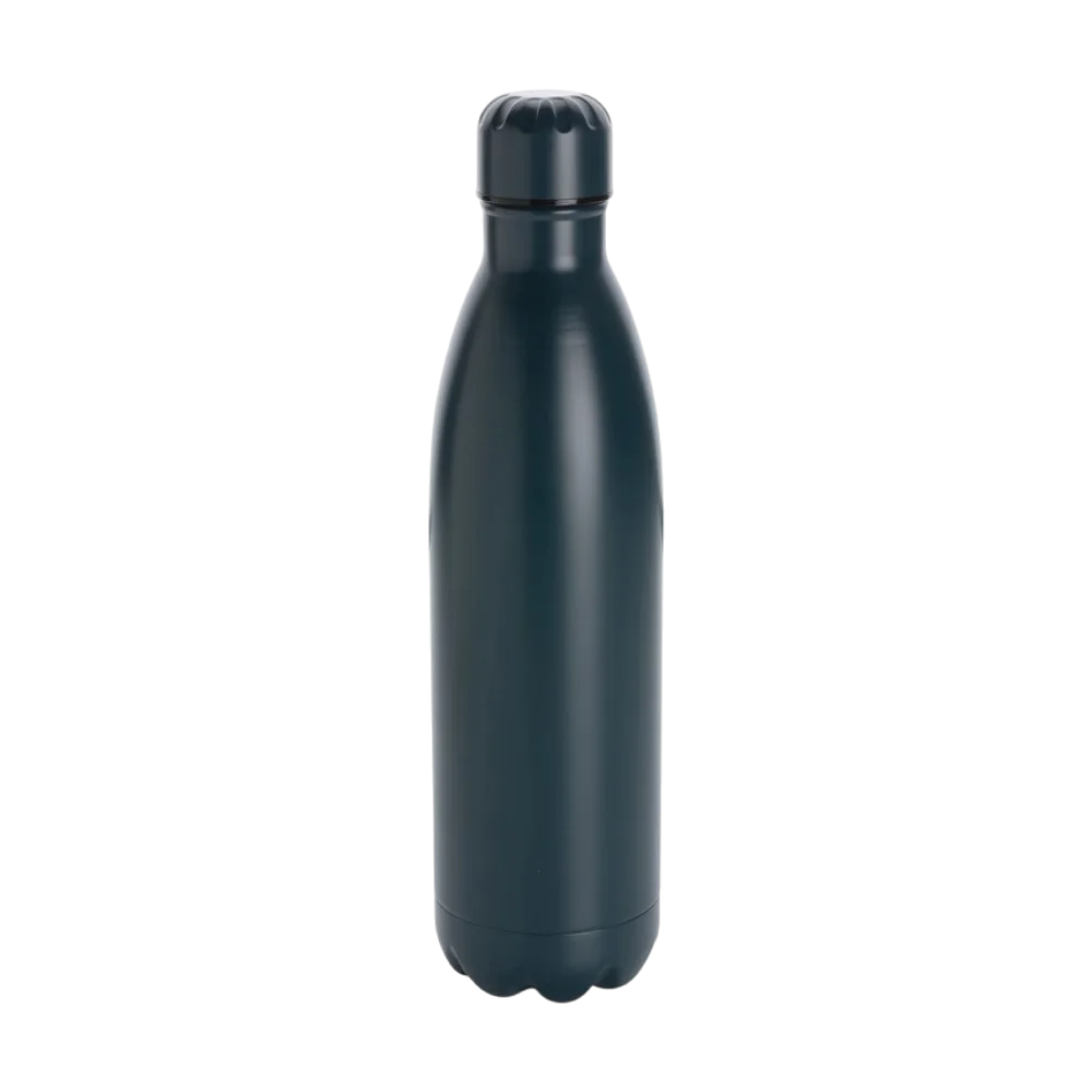 ICON - unikleurvacuumroestvrijstalenfles750ml blue