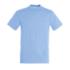 ICON - sky blue (tshirtsbudgetsols)