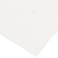 Plain paper