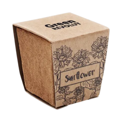 Sunflower Growing Kit