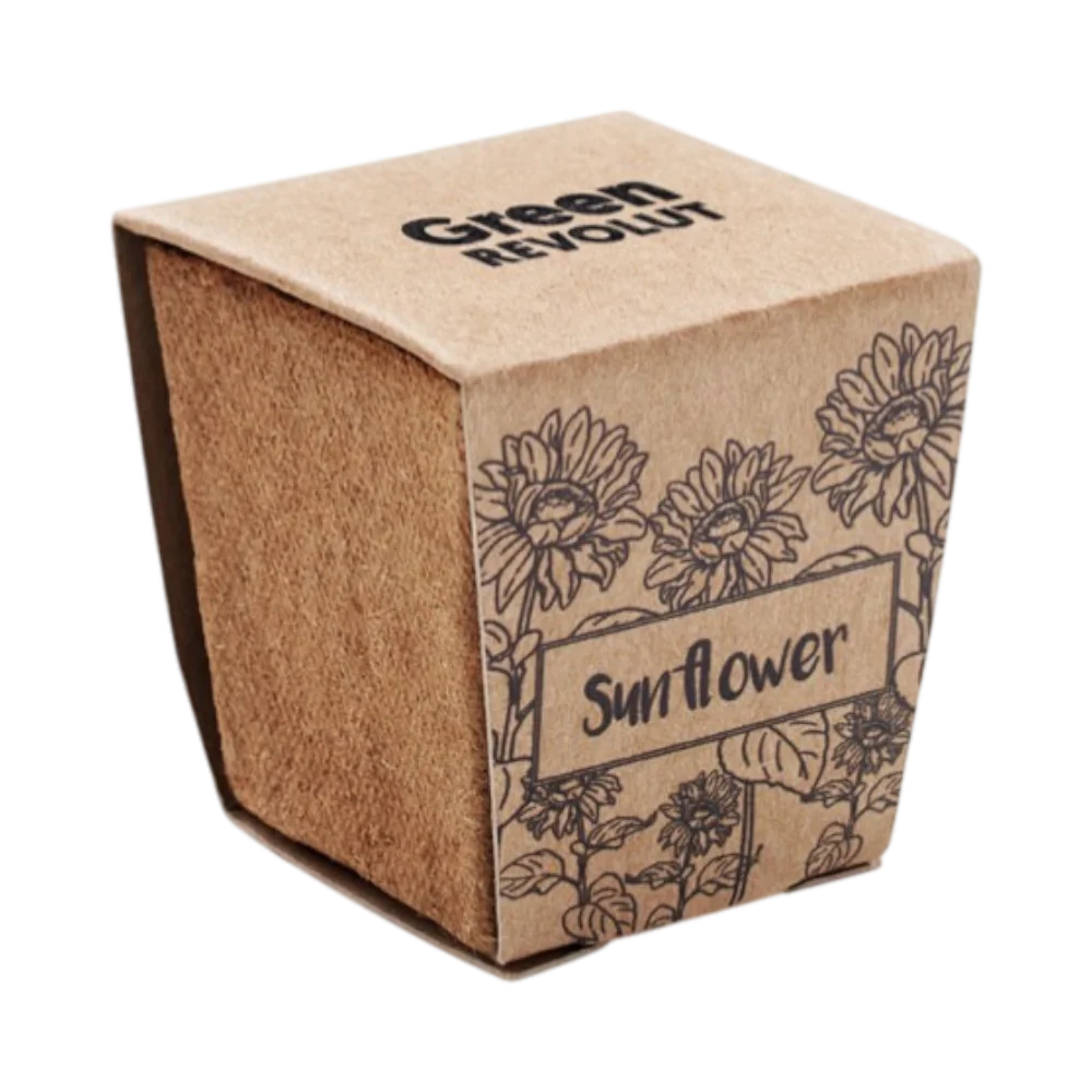PDP - sunflowerkitsunflowergrowingkit square #00000000 background