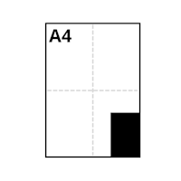 60 x 100 mm