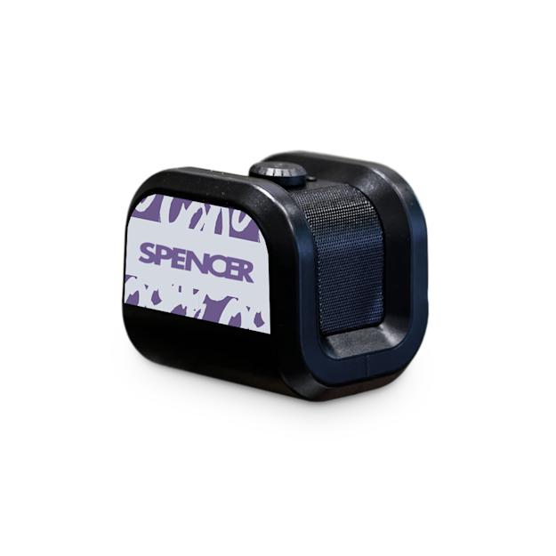 Boomz Portable Speaker