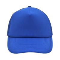 Bleu royal