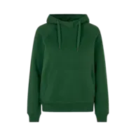 Verde bottiglia