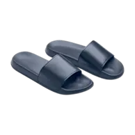 French Navy