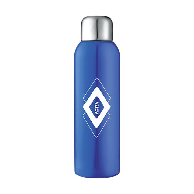 Guzzle Stainless Sports Bottle 28 oz