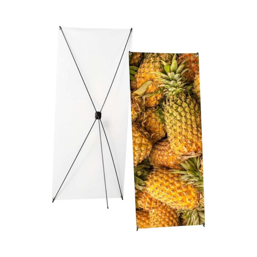 xbannerbudget bc0a166e9c77d3703c5d20791eeb4eac True 00000000