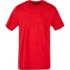 ICON - basicroundnecktshirtbuildyourbrand city_red