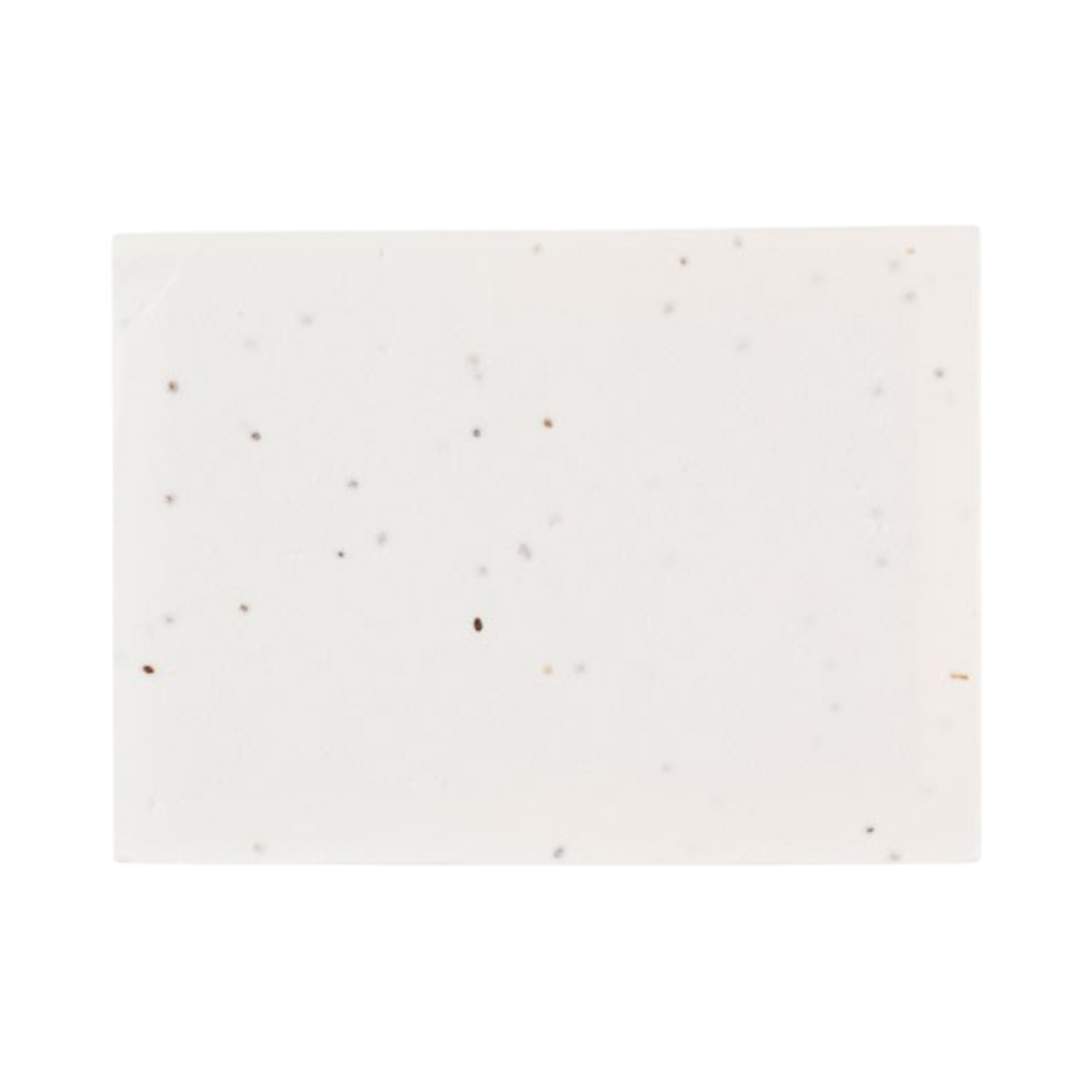 PDP - visonseedseedpaperstickynotepad square #00000000 background