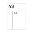 A3