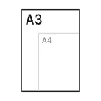 A3