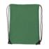 ICON - polyester210ddrawstringbackpacksteffi green