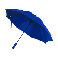 Bleu royal