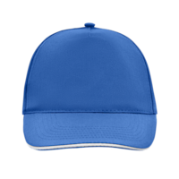 Bleu royal / blanc