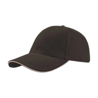 ICON - libertysandwichcap brown_white