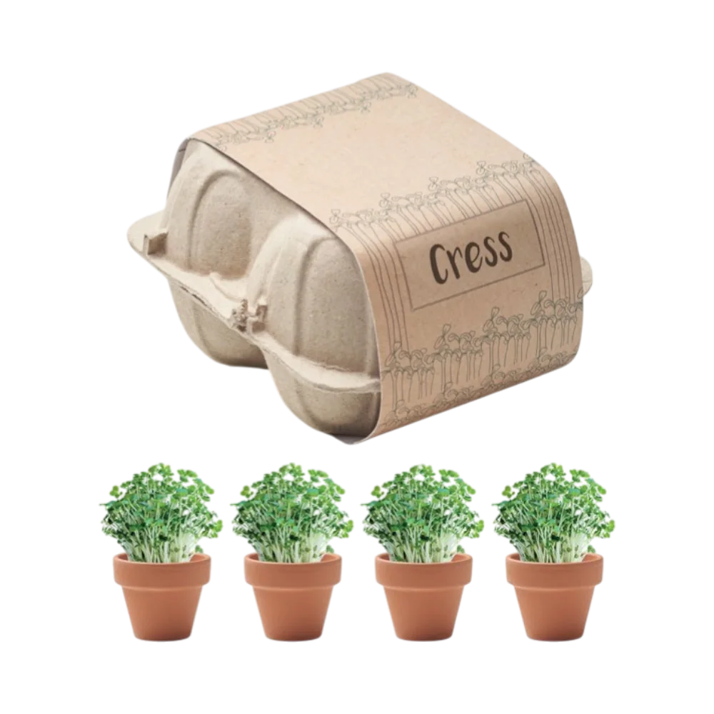 PDP - cresseggcartongrowingkit square #00000000 background