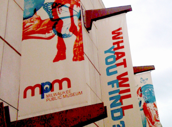 Striking-and-Contrasting-Colours