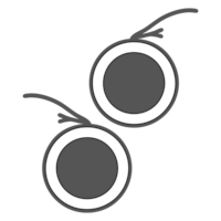 ⌀25 mm - Double face