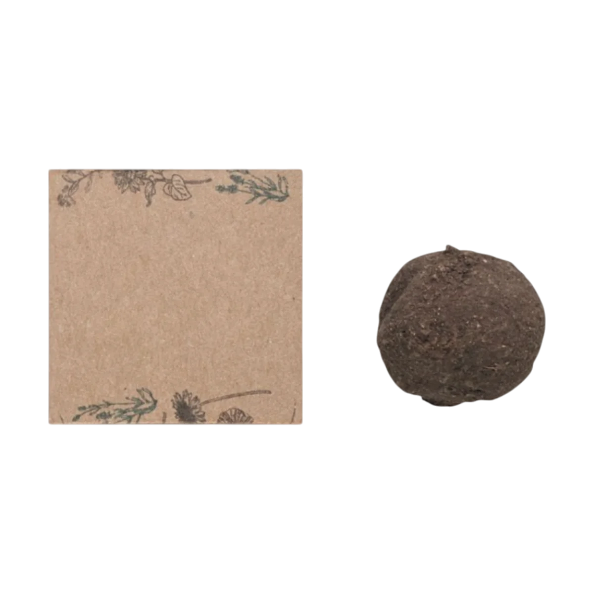 Image principale de Kit de culture Bombi Seed Bomb