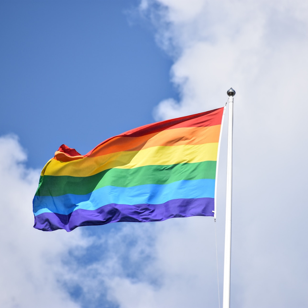 Pride flag PDP image