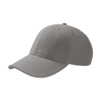 Gris clair / Blanc