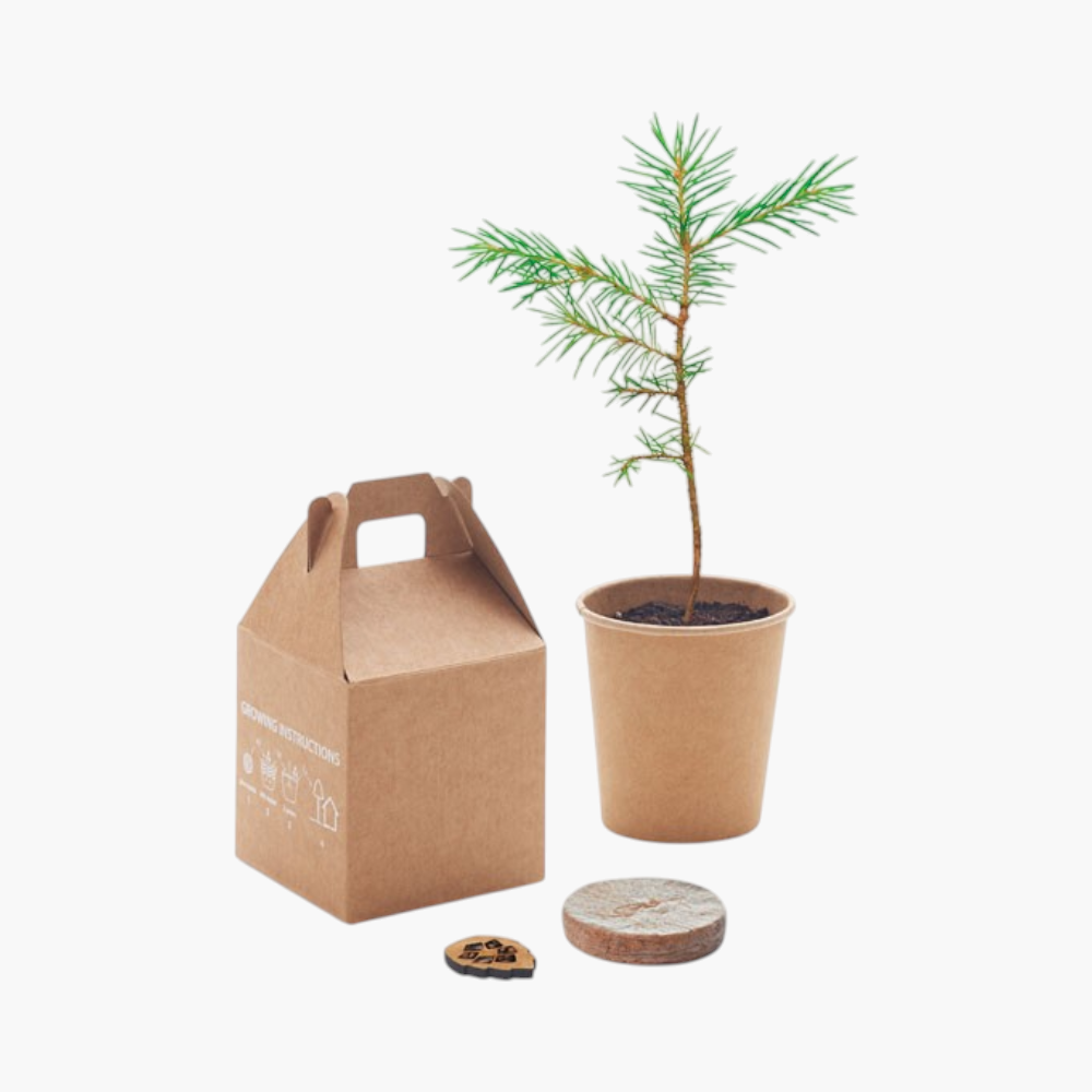 PDP - growtreepinetreeset square #F8F8F8 background