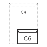 C6