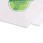 Budget PVC Single use