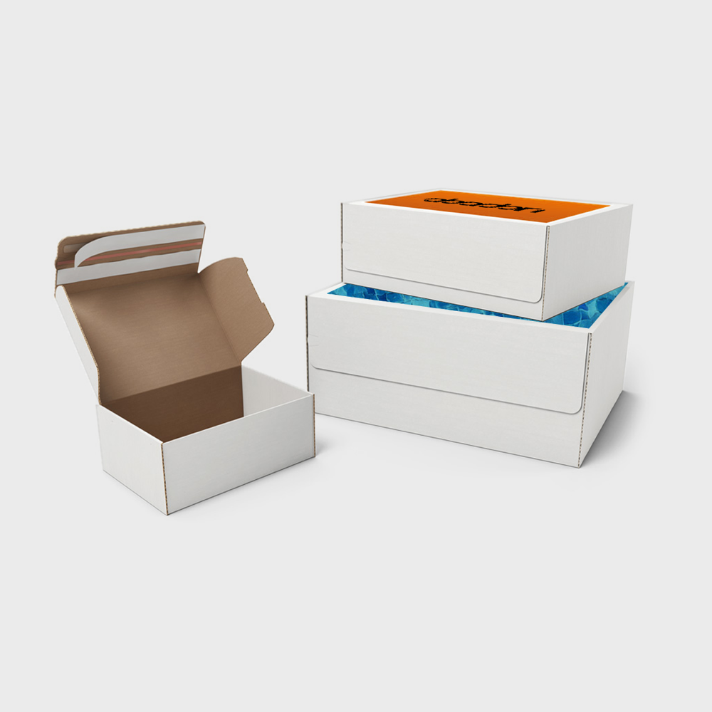 shippingboxwithflapselfsealing PDP