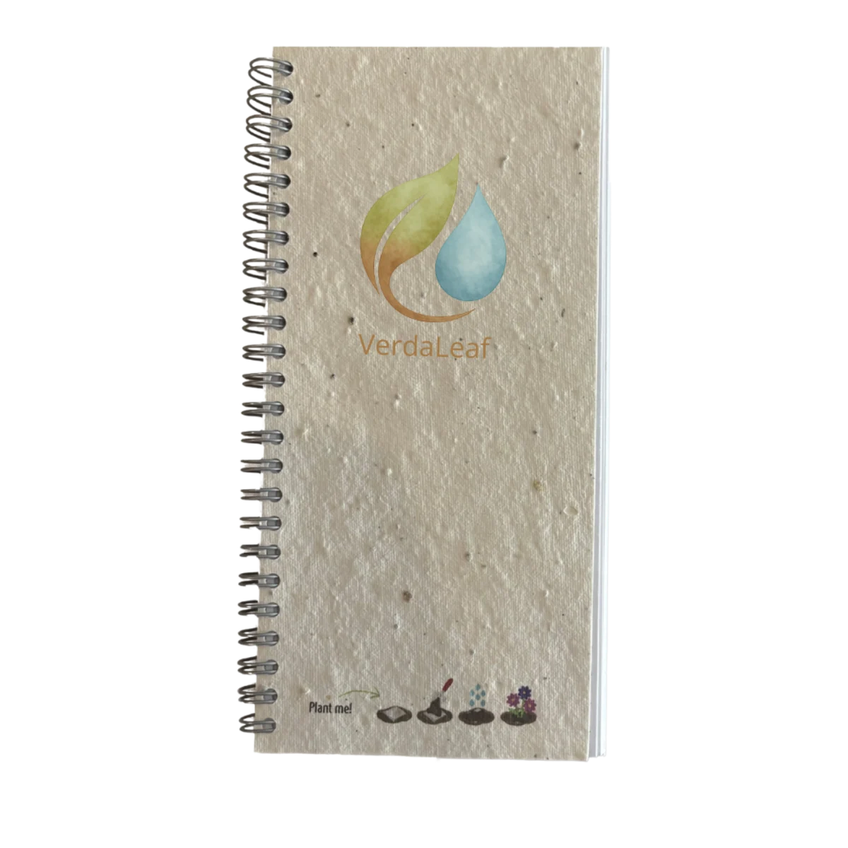 Seed Paper DL Notebook main image