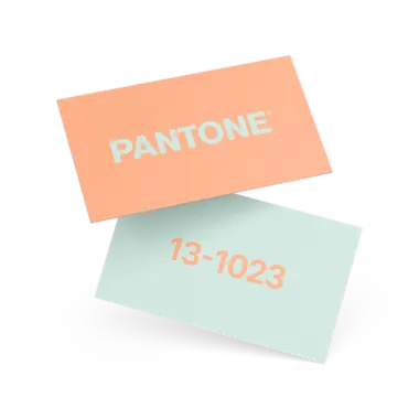 Carte de visite Pantone®