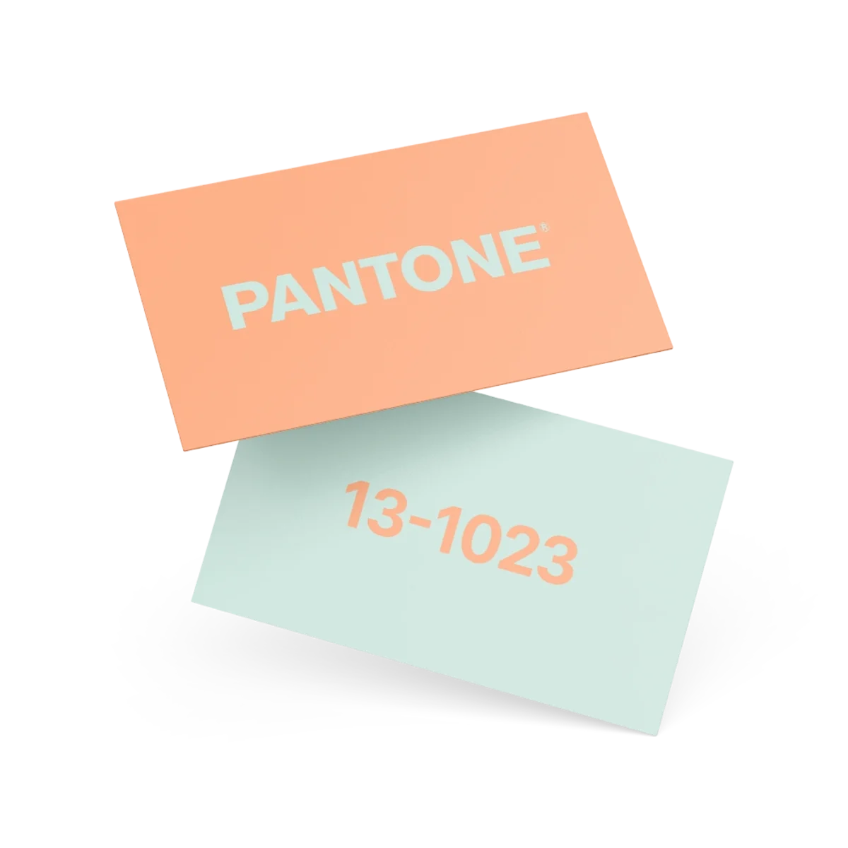 Business Cards (PMS) main image