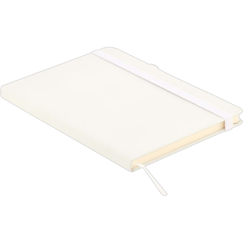 ICON - arpurecycledleathera5notebook white
