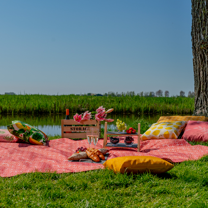 picnicblanket