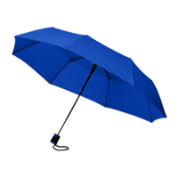 Bleu royal