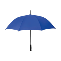 Bleu royal