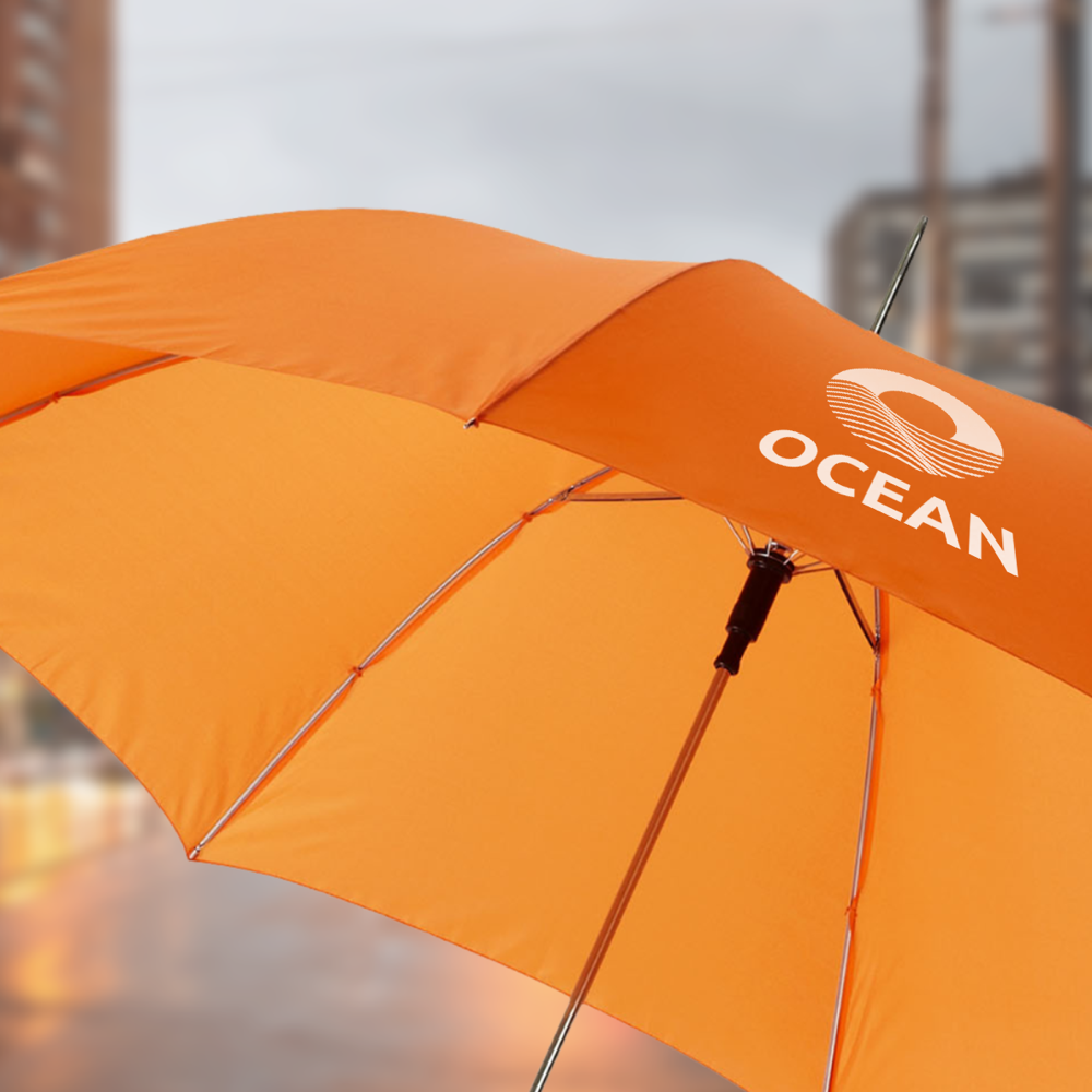 Lisa 23- auto open umbrella with wooden handle PDP Copy 2