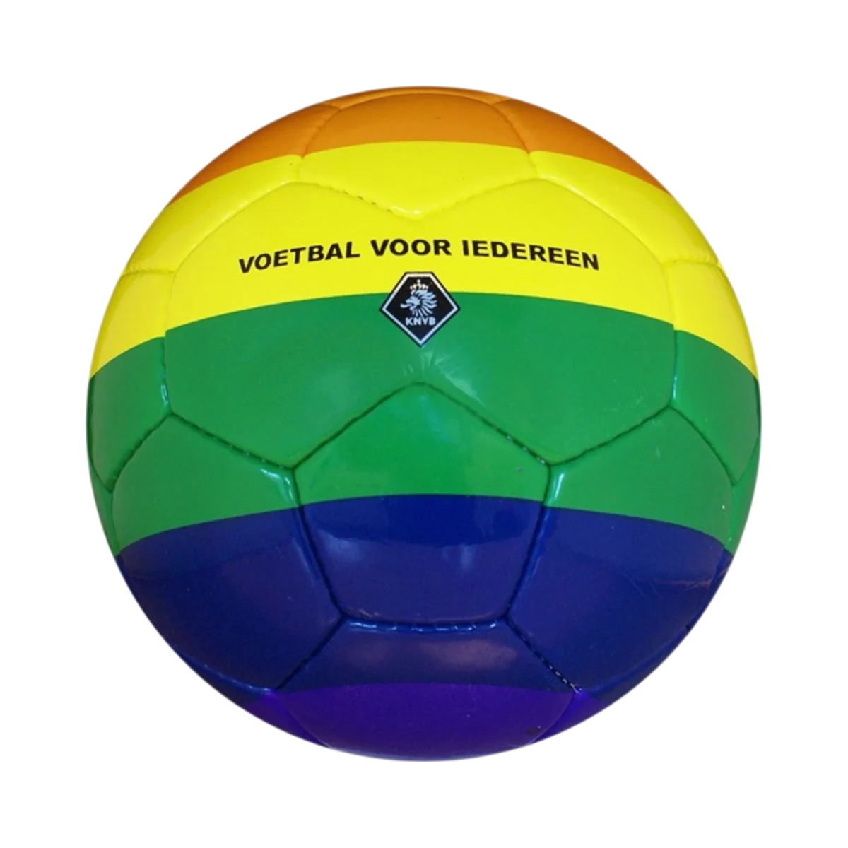 Professional Match Football main image