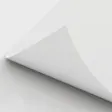 Eco