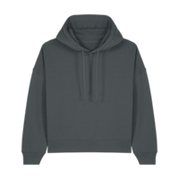 ICON - stanleystellathewomenshoodiesweatshirt anthracite