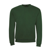 Vert bouteille