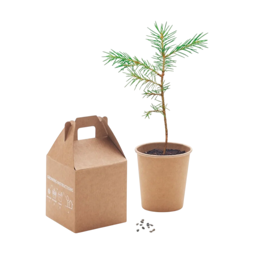 PDP - growtreepinetreeset square #F8F8F8 background