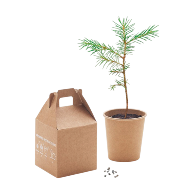 PDP - growtreepinetreeset square #F8F8F8 background