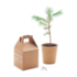 PDP - growtreepinetreeset square #F8F8F8 background