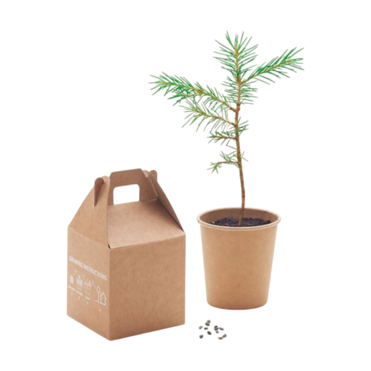 GROWTREE™ Pine Tree Set main image