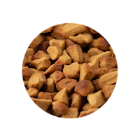 smallbagheadercard50gramsweets oud hollandse pepernoten 2
