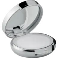 Shiny Silver