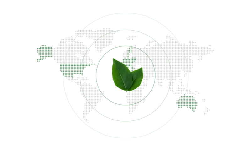 Low carbon business model